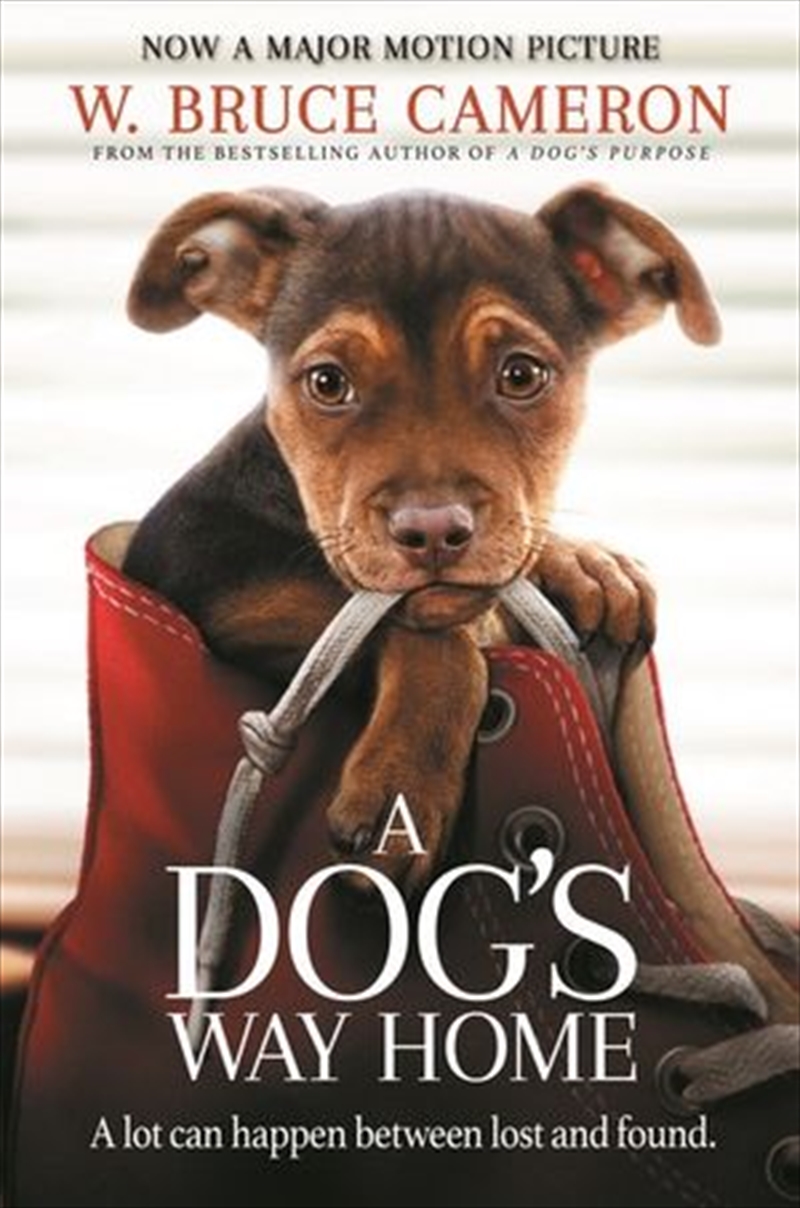 A Dogs Way Home | Paperback Book