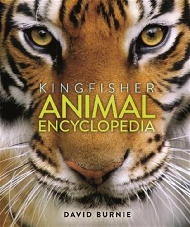 Kingfisher Animal Encyclopedia/Product Detail/Reading