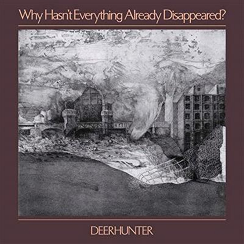 Why Hasn't Everything Already Disappeared - Limited Edition Grey Coloured Vinyl/Product Detail/Alternative