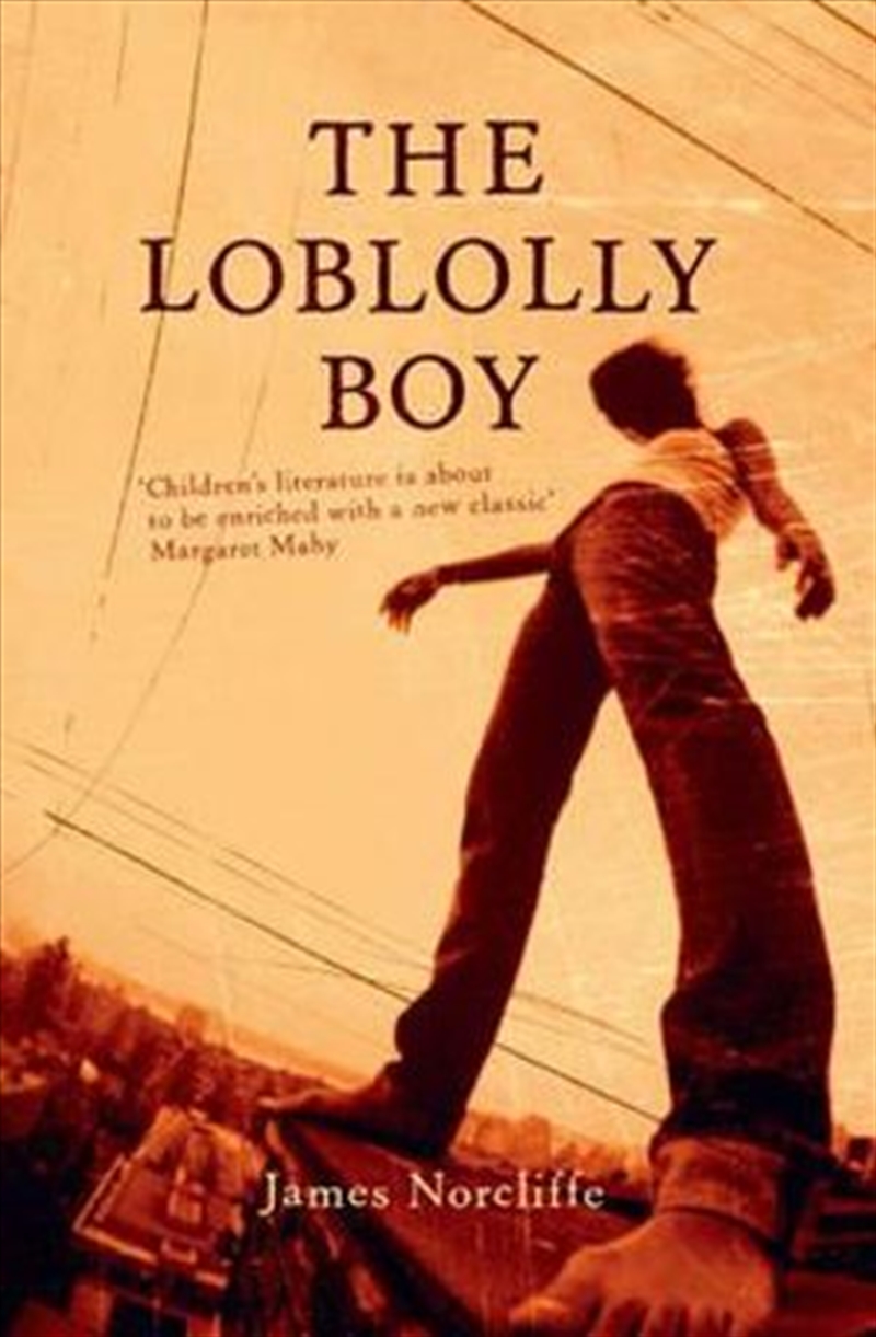 Loblolly Boy/Product Detail/Childrens Fiction Books