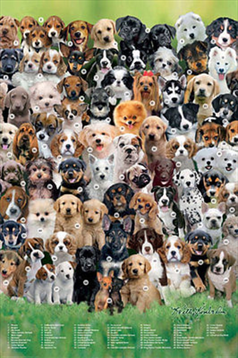 Dogs Chart Poster - Different Dog Breed Names/Product Detail/Posters & Prints