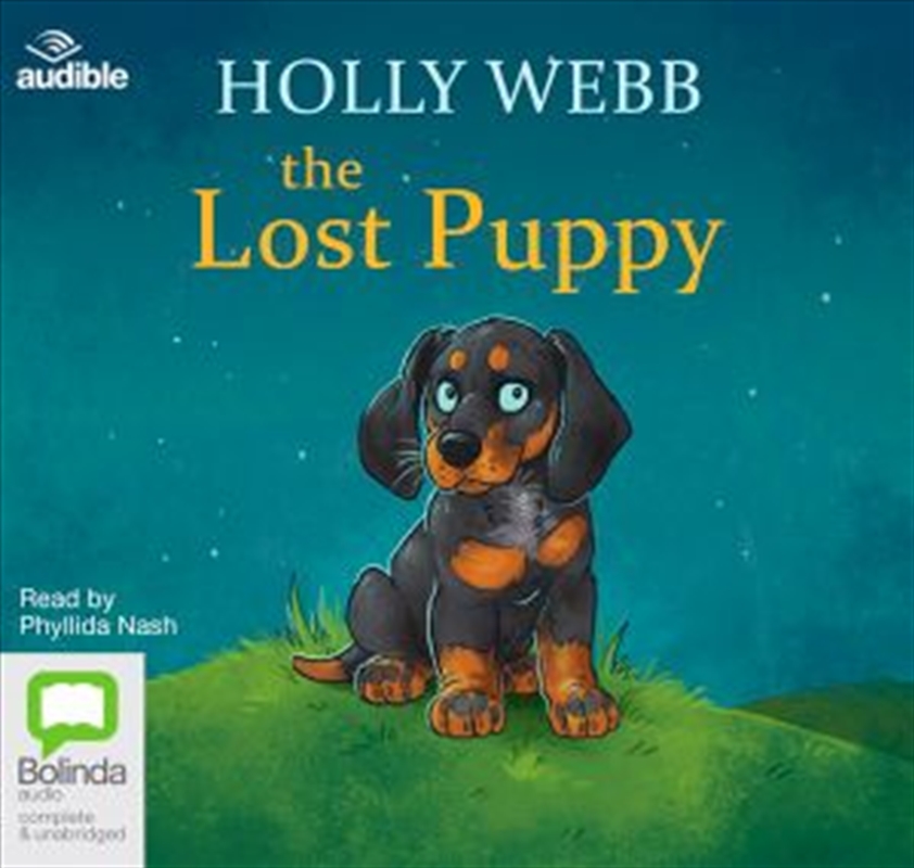The Lost Puppy/Product Detail/General Fiction Books