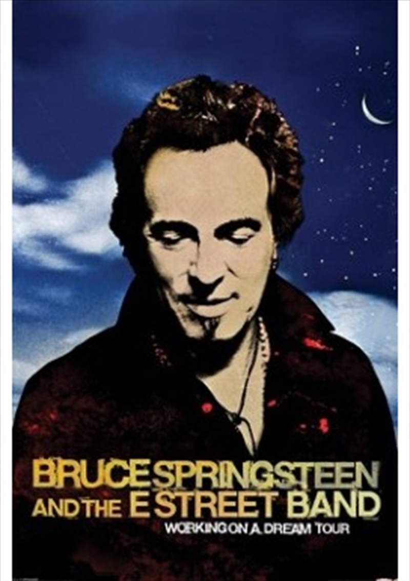 Working On A Dream Tour/Product Detail/Posters & Prints