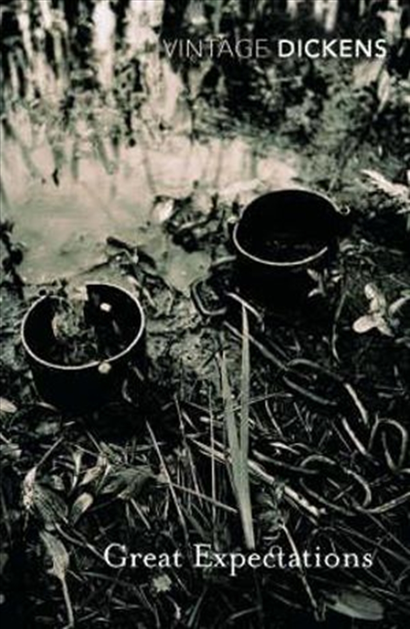 Great Expectations/Product Detail/Reading