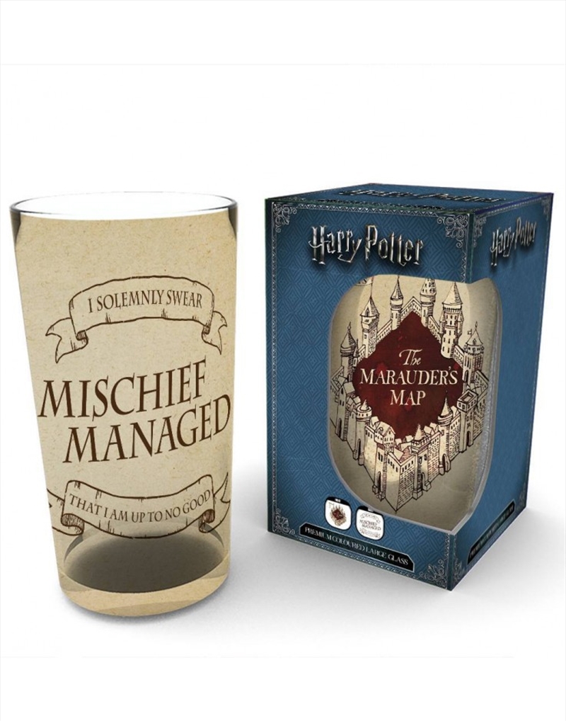 Harry Potter Marauders Map Coloured Large Glass/Product Detail/Glasses, Tumblers & Cups