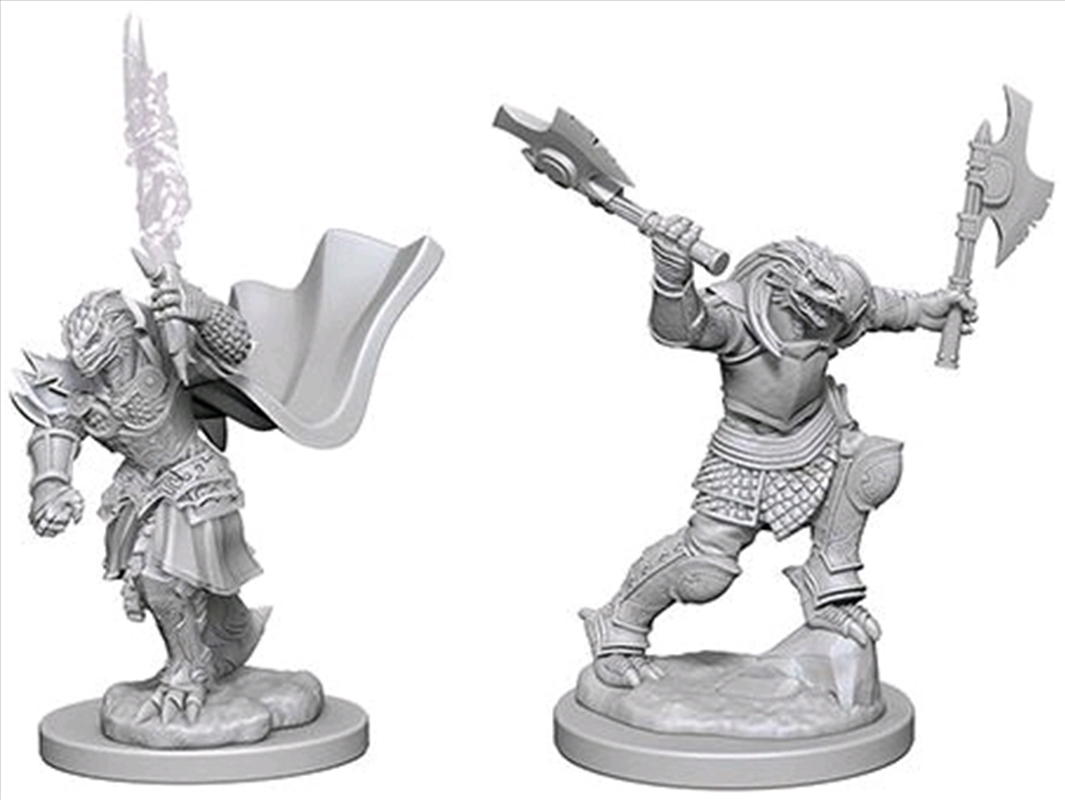 Dungeons & Dragons - Nolzur's Marvelous Unpainted Minis: Dragonborn Female Fighter/Product Detail/RPG Games