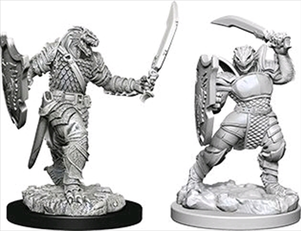 Dungeons & Dragons - Nolzur's Marvelous Unpainted Minis: Dragonborn Female Paladin/Product Detail/RPG Games