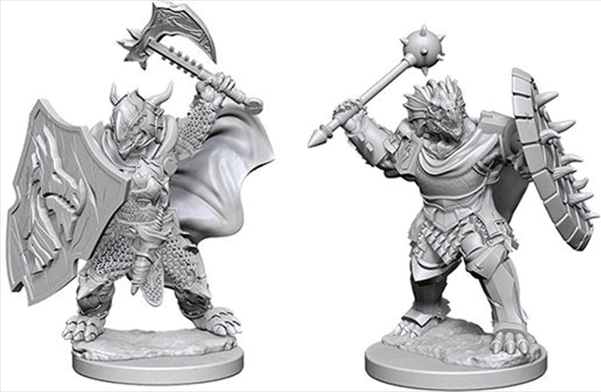 Dungeons & Dragons - Nolzur's Marvelous Unpainted Minis: Dragonborn Male Paladin/Product Detail/RPG Games