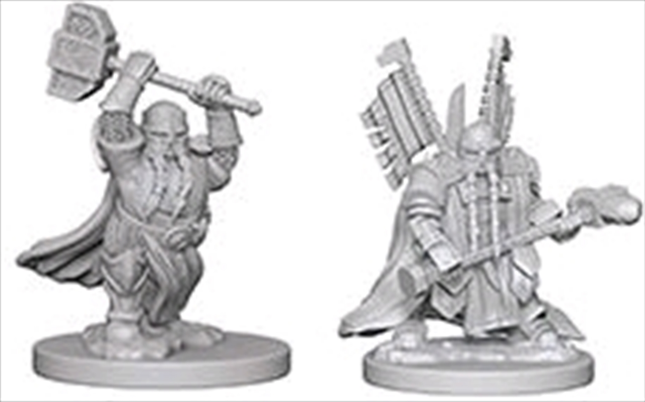 Dungeons & Dragons - Nolzur's Marvelous Unpainted Minis: Dwarf Male Paladin/Product Detail/RPG Games