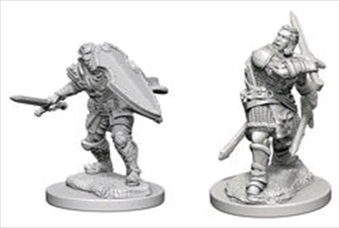 Dungeons & Dragons - Nolzur's Marvelous Unpainted Minis: Human Male Paladin/Product Detail/RPG Games