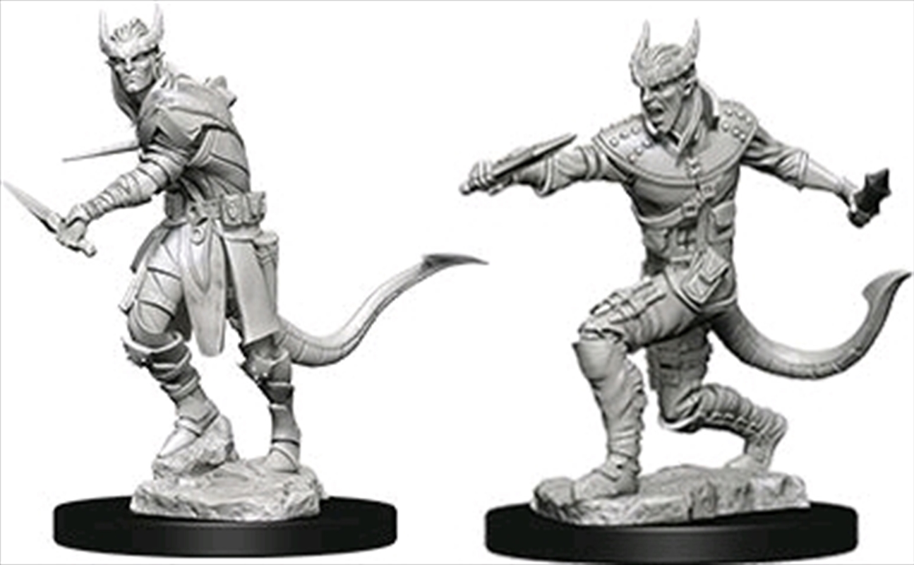 Dungeons & Dragons - Nolzur's Marvelous Unpainted Minis: Tiefling Male Rogue/Product Detail/RPG Games