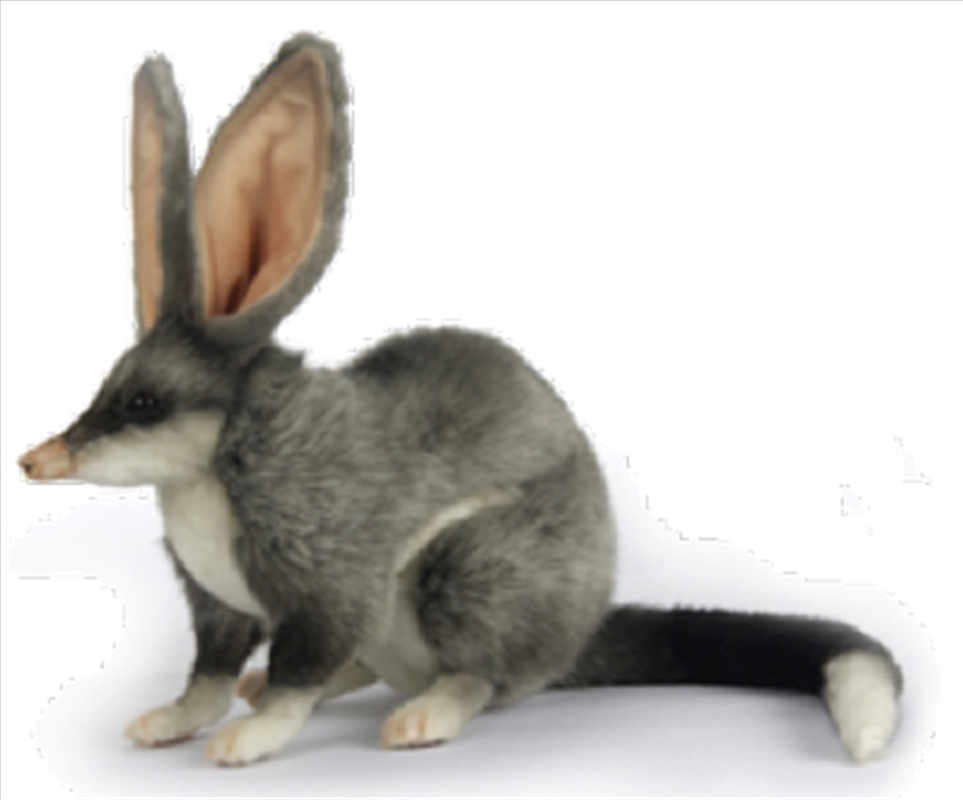 Bilby 30cm H/Product Detail/Plush Toys