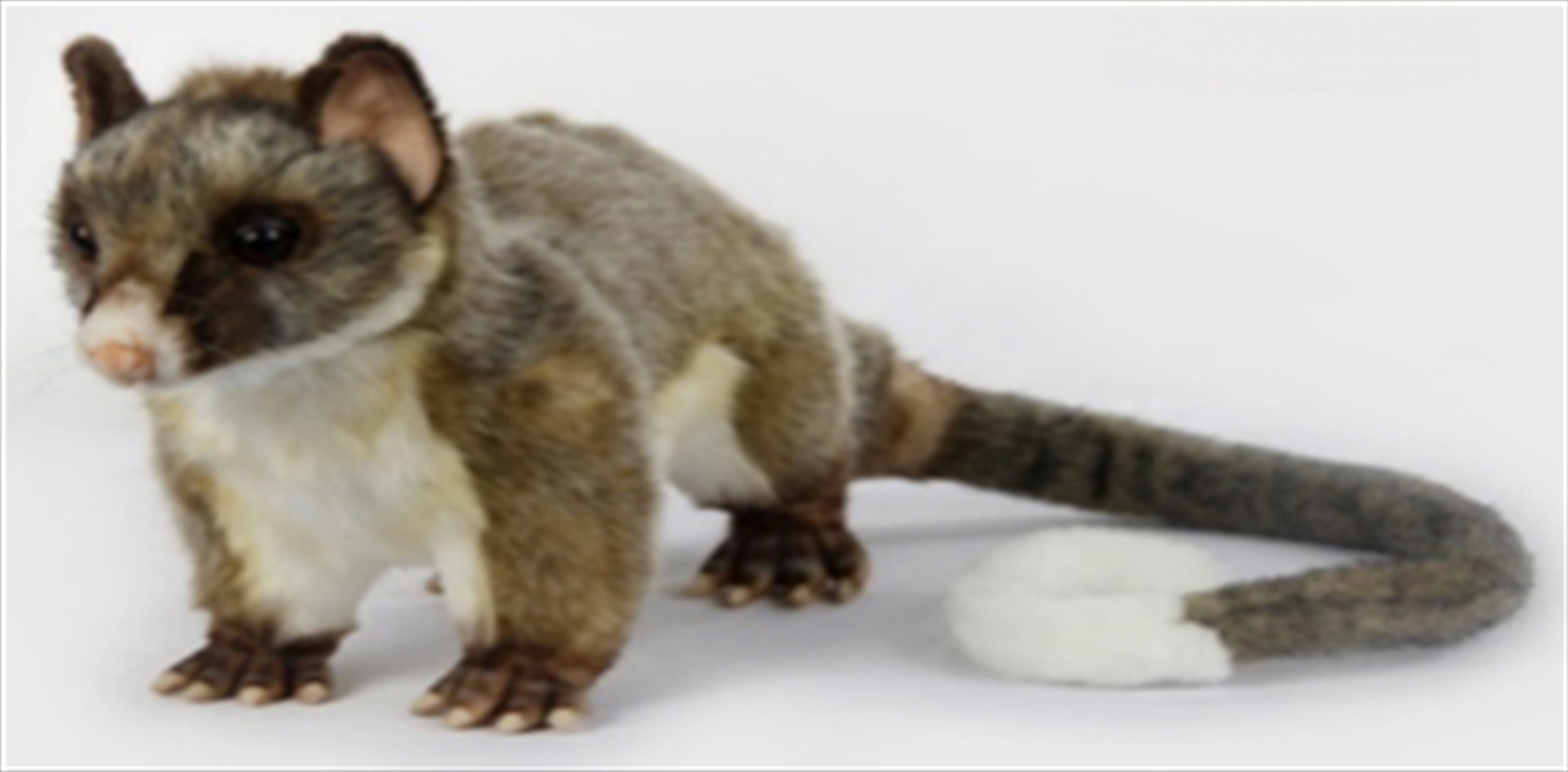 Brush Tail Possum Standing 21/Product Detail/Plush Toys