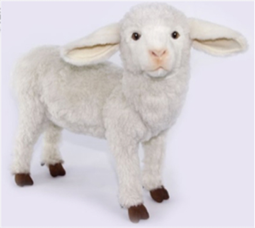 Lamb Standing White 47cm L/Product Detail/Plush Toys