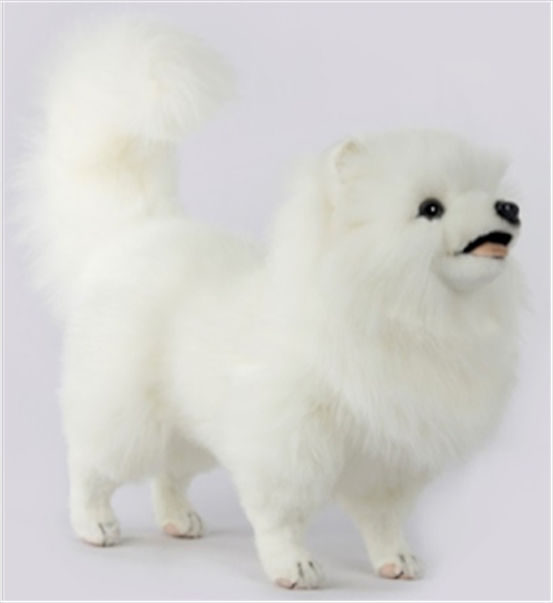 Pomeranian Dog White 46cm L/Product Detail/Plush Toys