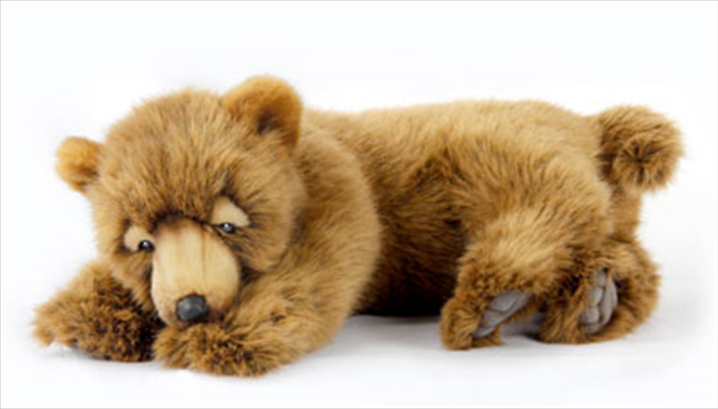 Brown Bear Sleeping 45cm L/Product Detail/Plush Toys