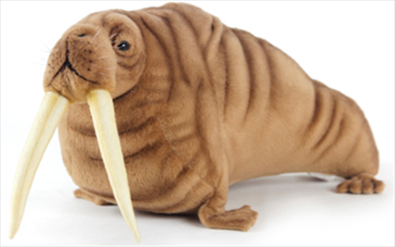 Walrus 40cm L/Product Detail/Plush Toys