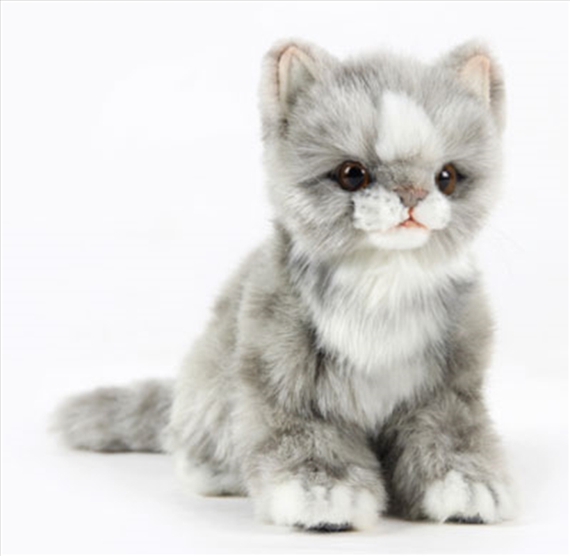 Kitten Jacquard Sitting Gray 19cm H/Product Detail/Plush Toys
