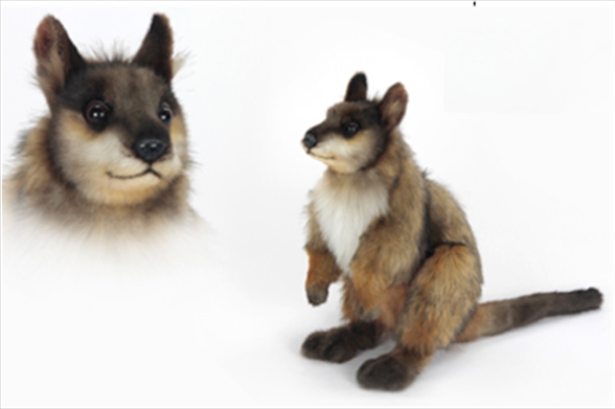 Wallaby 46cm L/Product Detail/Plush Toys