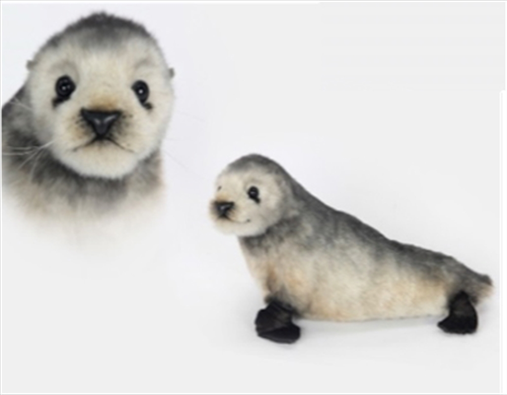 Fur Seal Australian 46cm L/Product Detail/Plush Toys