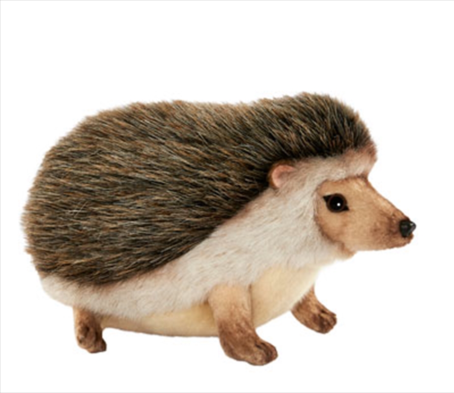 African Pygmy Hedgehog 23cm L/Product Detail/Plush Toys