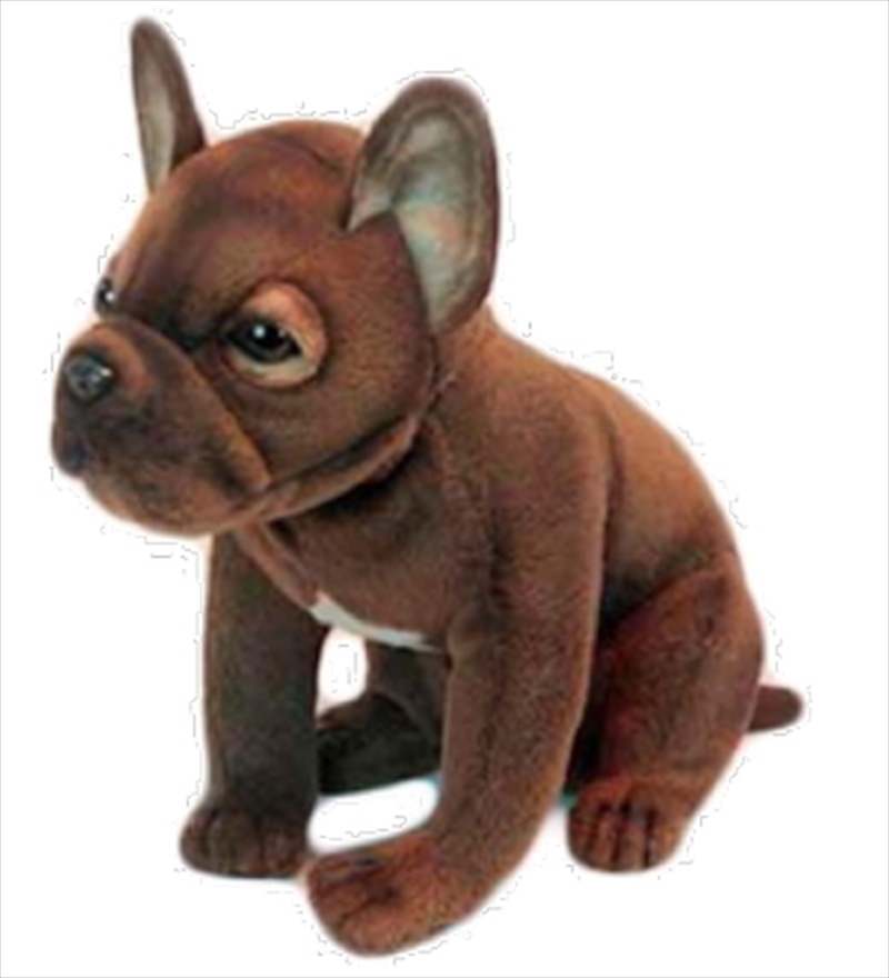 French Bulldog Pup 20cm H/Product Detail/Plush Toys
