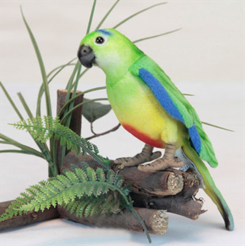 Orange Breasted Parrot 12cm H/Product Detail/Plush Toys