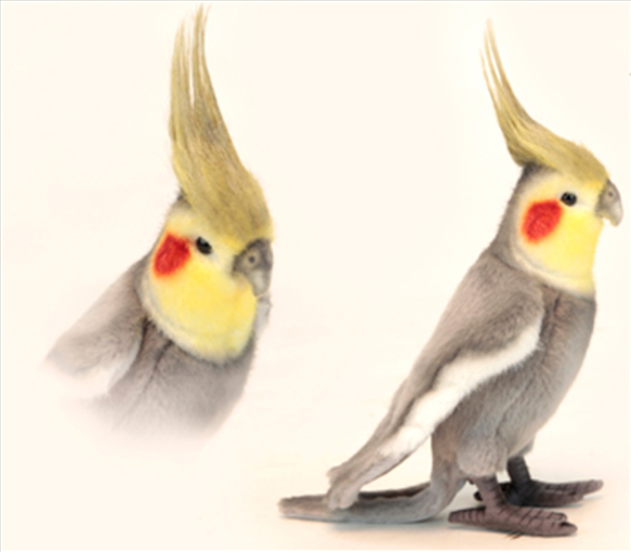 Cockatiel Grey 23cm H/Product Detail/Plush Toys