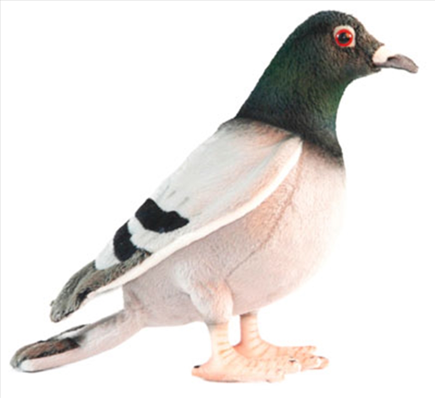 Pigeon 29cm L/Product Detail/Plush Toys