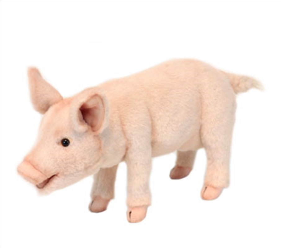 Piglet Standing 34cm L/Product Detail/Plush Toys