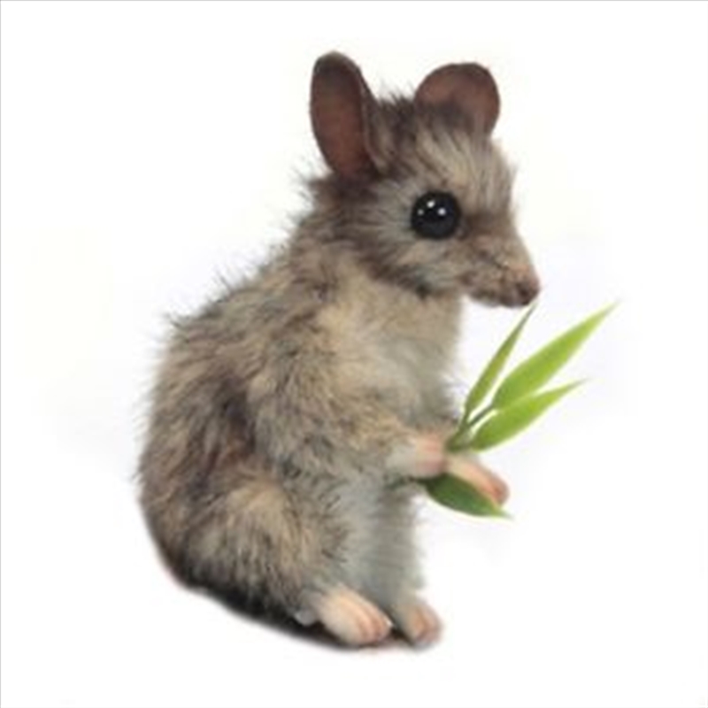 Leadbetter Possum Grey 11cm H/Product Detail/Plush Toys