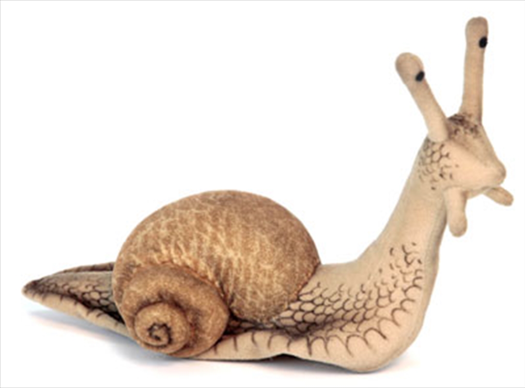 Escargot Snail 22cm L/Product Detail/Plush Toys
