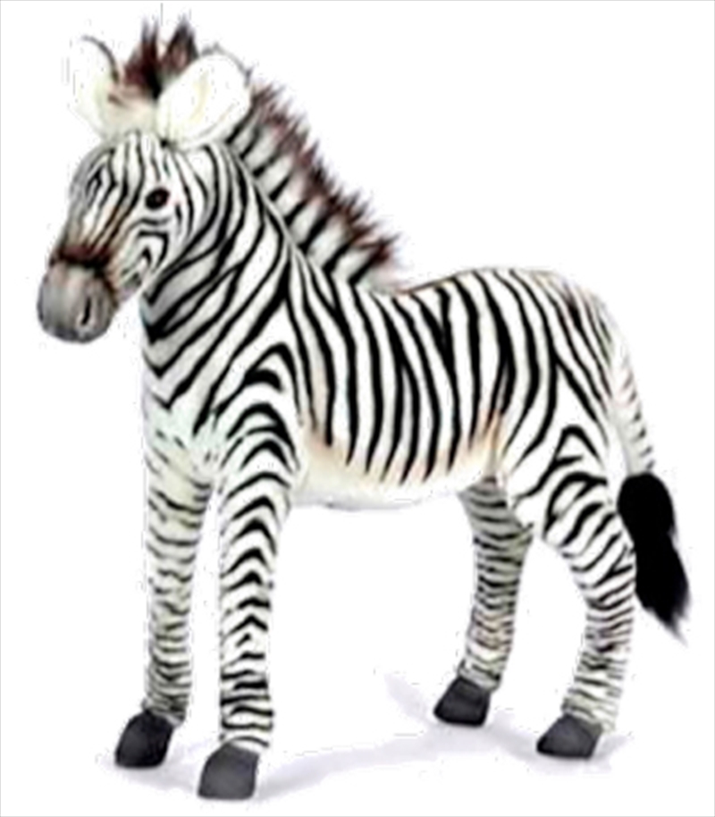 Zebra Grevy 50cm L/Product Detail/Plush Toys