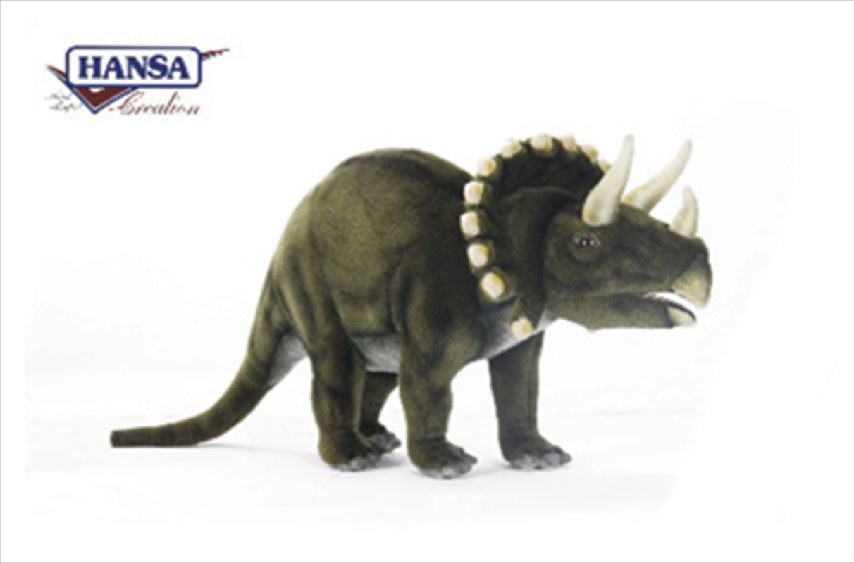 Triceratops 50cm L/Product Detail/Plush Toys