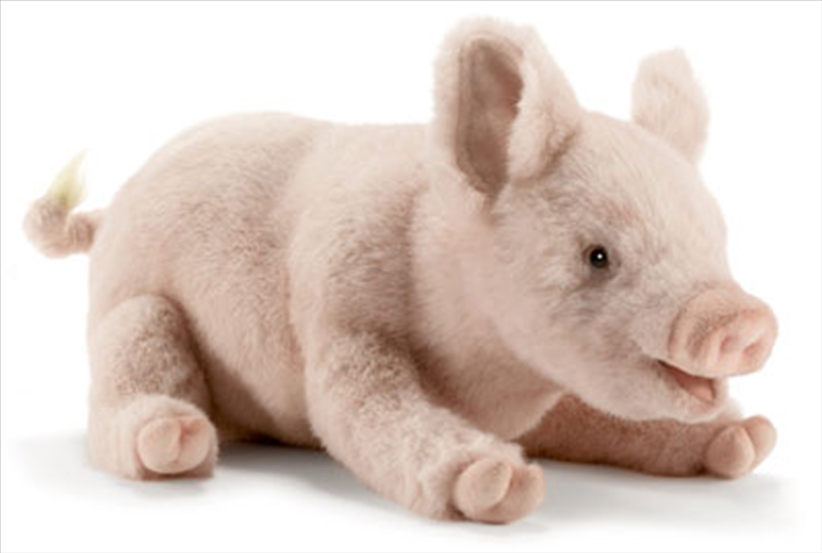 Pig Crouching 28cm L/Product Detail/Plush Toys