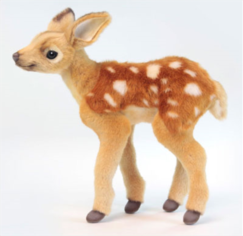 Bambi Kid 30cm L/Product Detail/Plush Toys