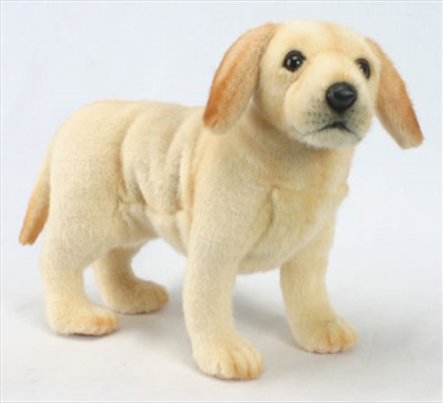 Labrador Pup 35cm L/Product Detail/Plush Toys