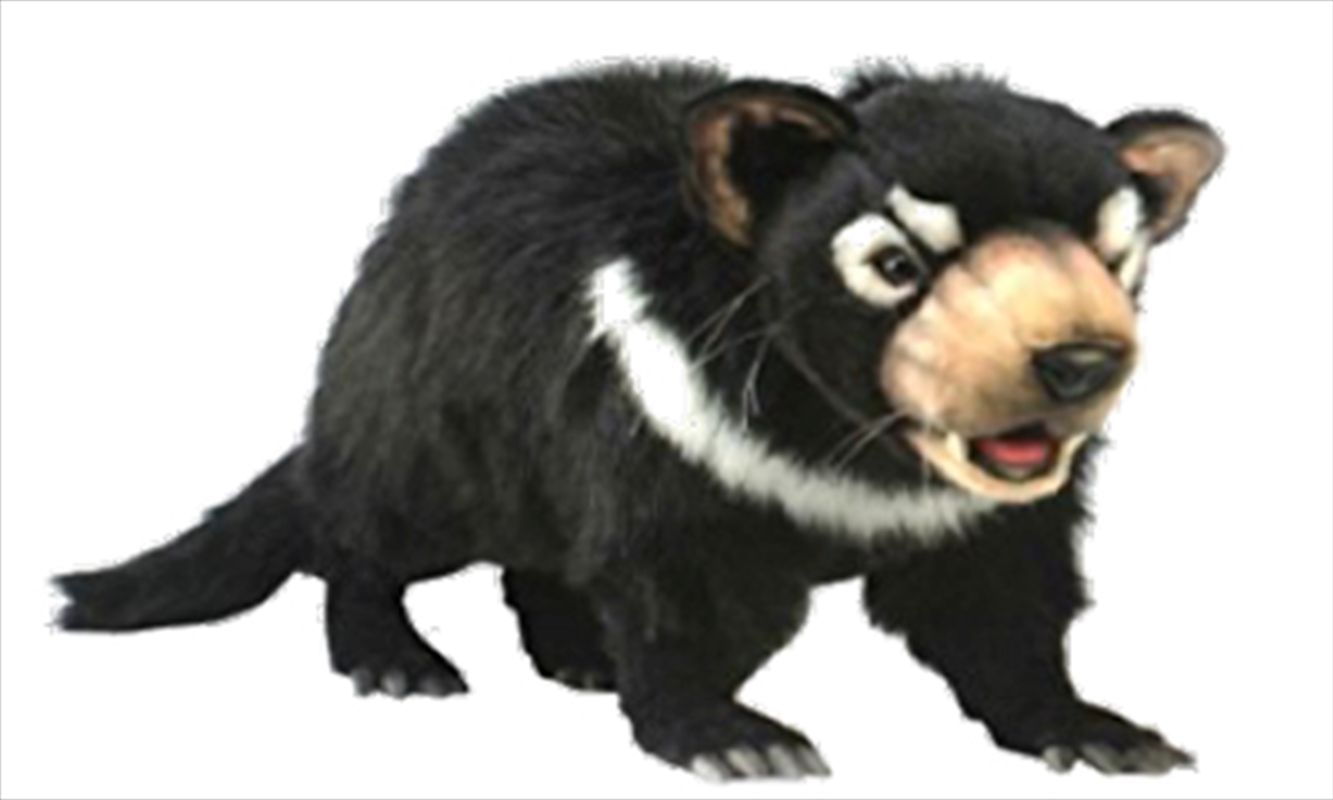 Tasmanian Devil 60cm L/Product Detail/Plush Toys