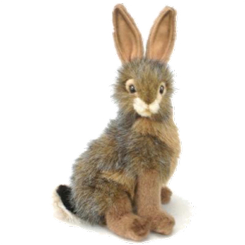 Black Tailed Rabbit 23cm H/Product Detail/Plush Toys