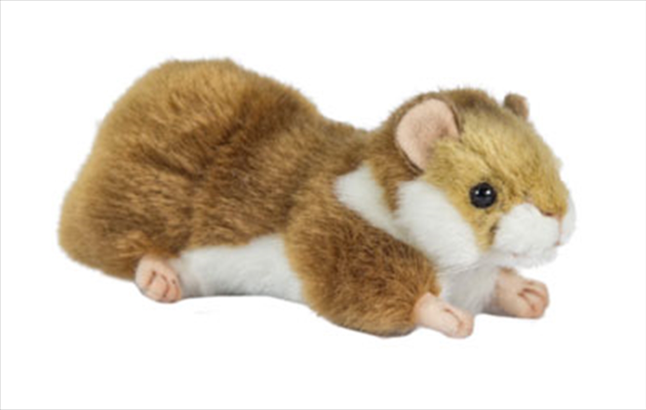 Hamster 17cm L/Product Detail/Plush Toys