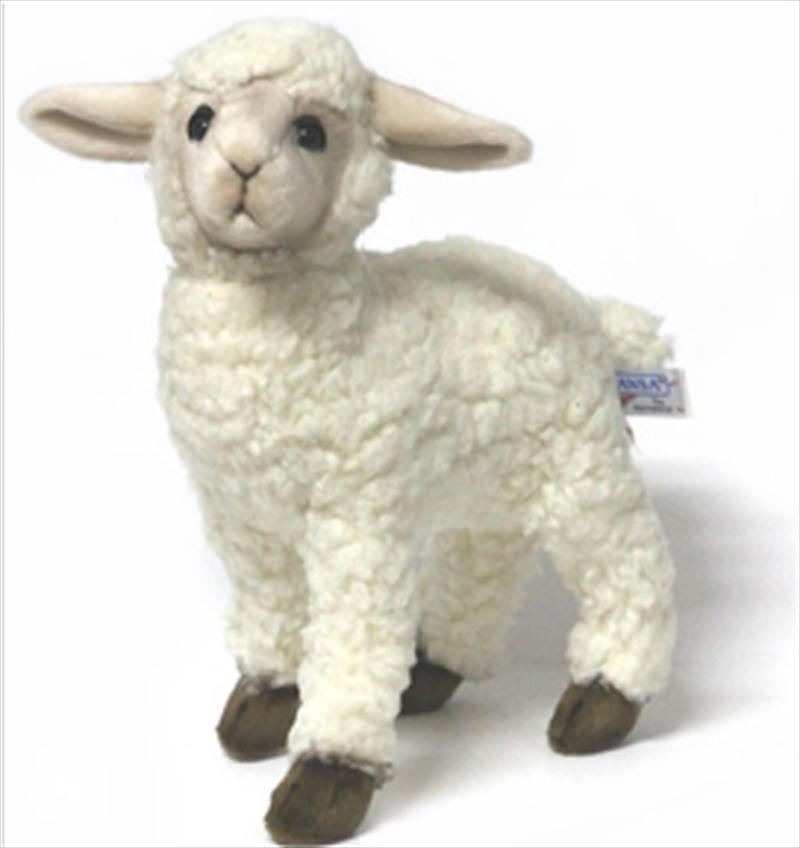 Sheep Kid White 28cm L/Product Detail/Plush Toys