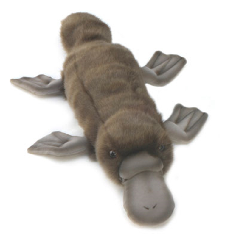 Platypus 40cm L/Product Detail/Plush Toys