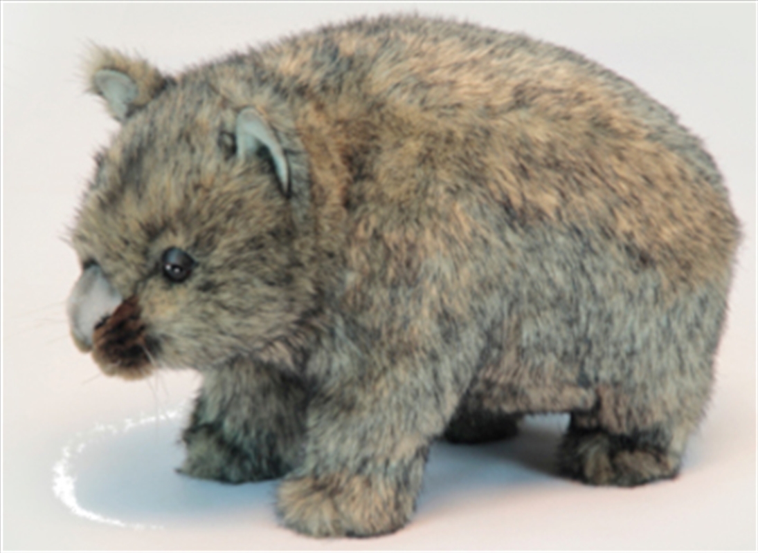 Poseable Wombat 28cm L/Product Detail/Plush Toys
