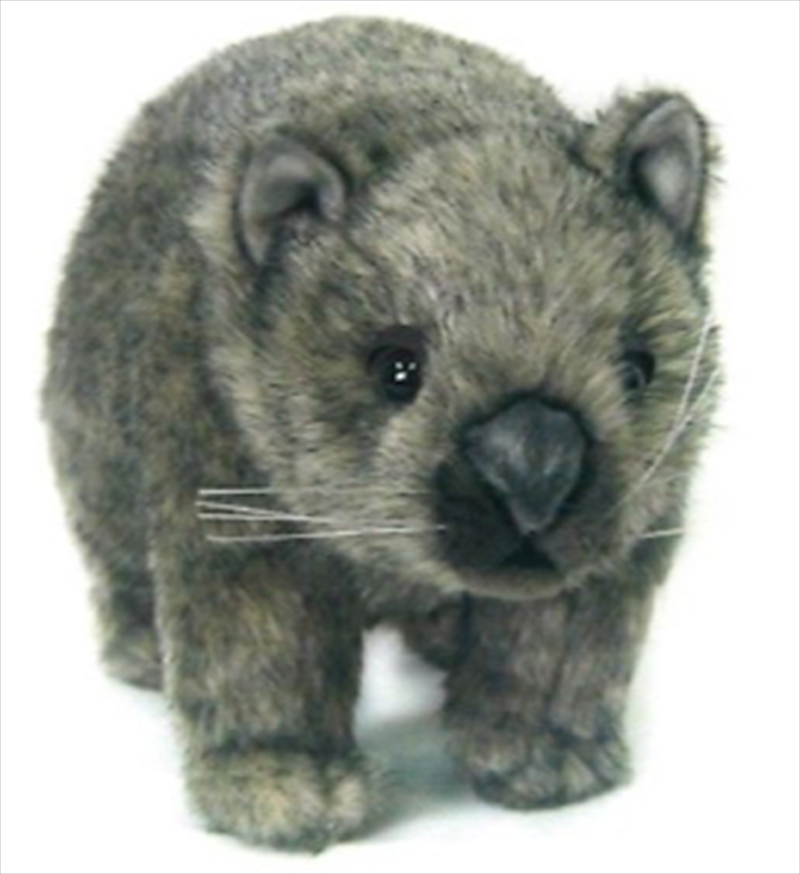Wombat 37cm L/Product Detail/Plush Toys