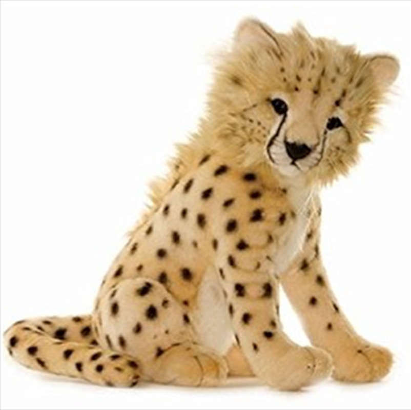 Cheetah Cub Sitting 32cm L/Product Detail/Plush Toys