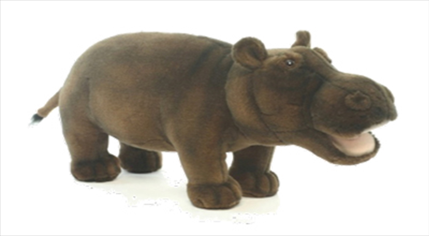 Hippo 30cm L/Product Detail/Plush Toys