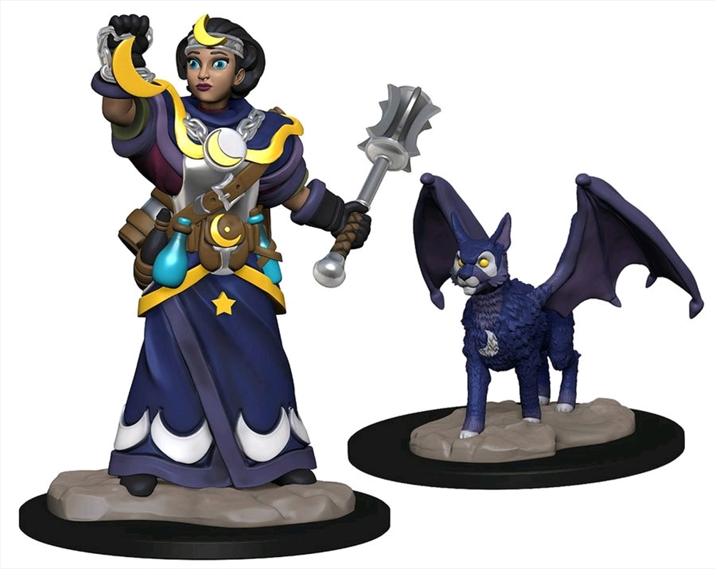 Wardlings - Girl Cleric & Winged Cat Pre-Painted Minis/Product Detail/RPG Games