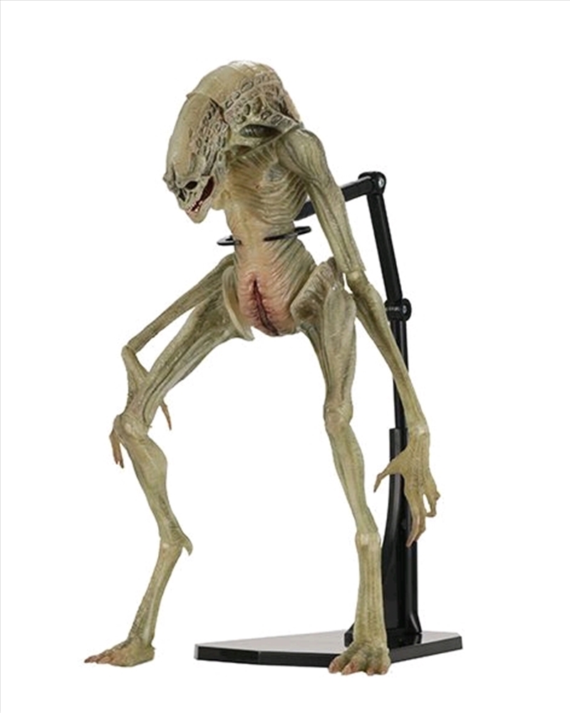 Alien: Resurrection - Newborn 7" Scale Deluxe Action Figure/Product Detail/Figurines