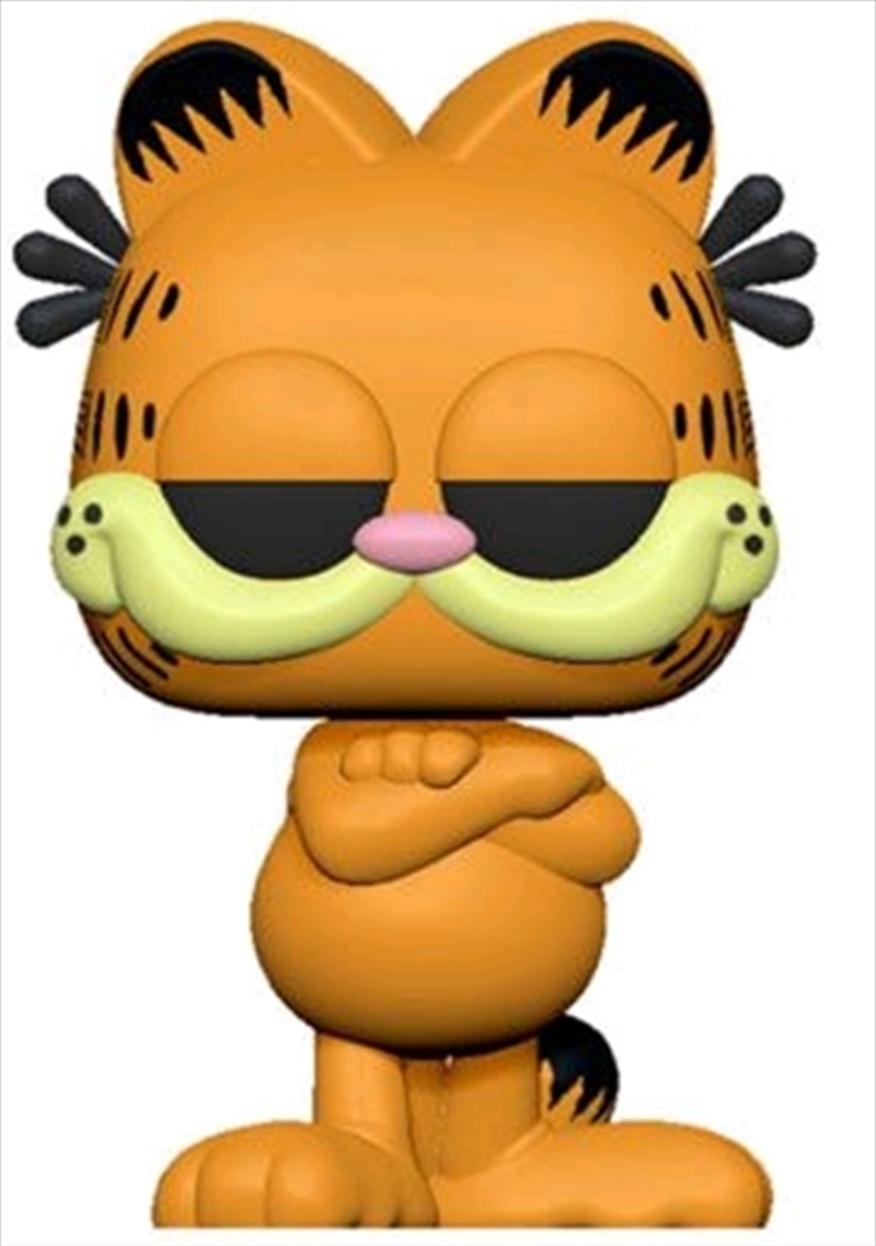Garfield - Garfield Pop! Vinyl/Product Detail/Movies