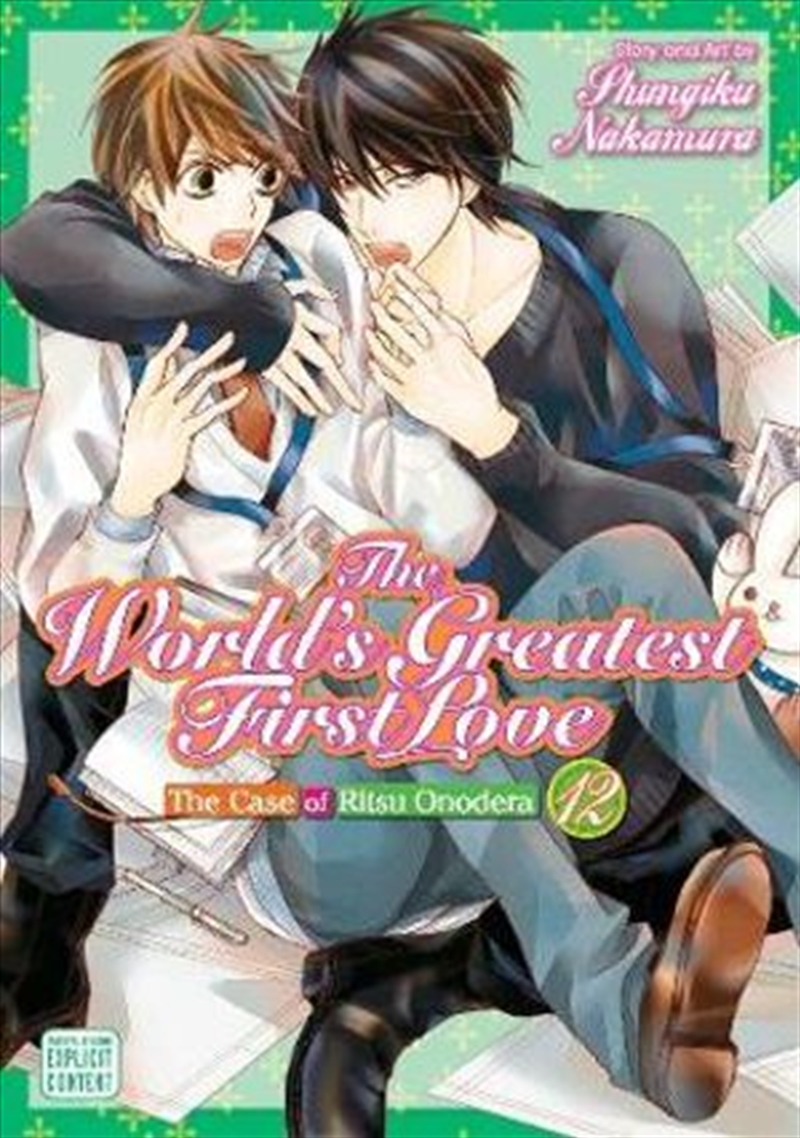 World's Greatest First Love, Vol. 12/Product Detail/Manga